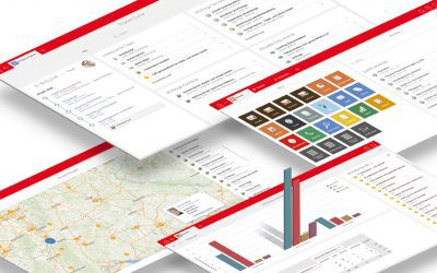 Der nächste Meilenstein: Swiss21.org wird um ein CRM erweitert Pressebild Picasso Vielfalt 1